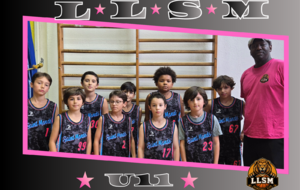 U11