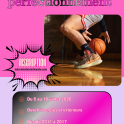 Stage juillet 2026